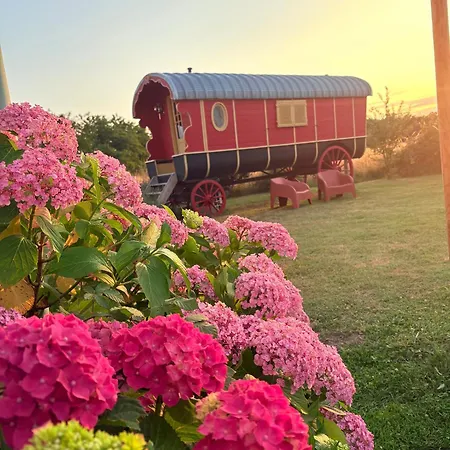 La Roulotte Champetre Des Grillots Bed & Breakfast 3*