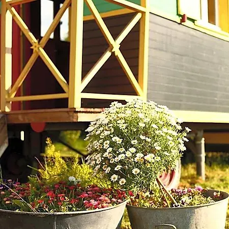 Bed and Breakfast La Roulotte Champetre Des Grillots